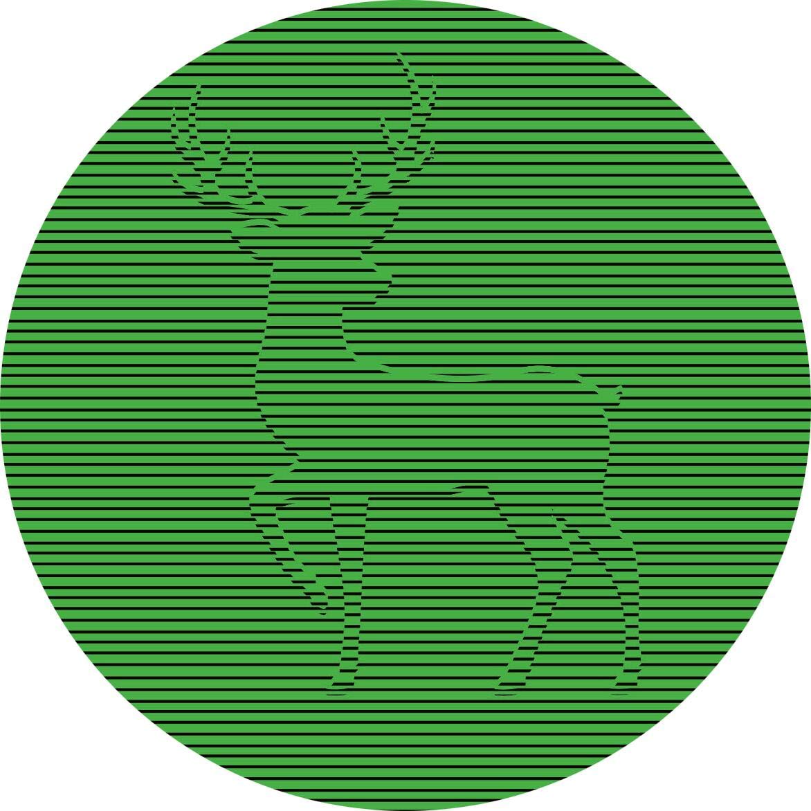 71qqAVSylL._SL1172_.jpg